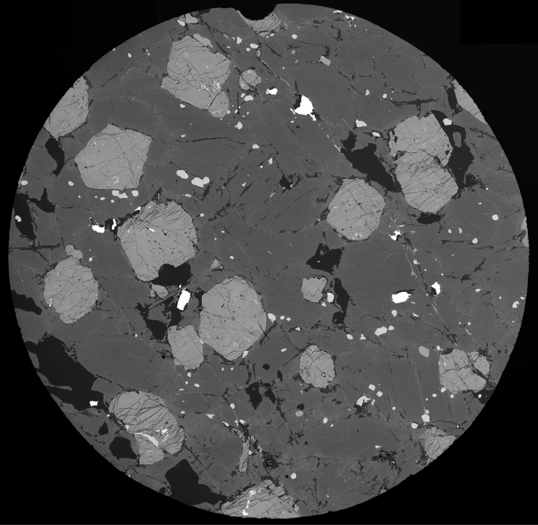 BSE — Garnets dispersed in silicate matrix, polished section